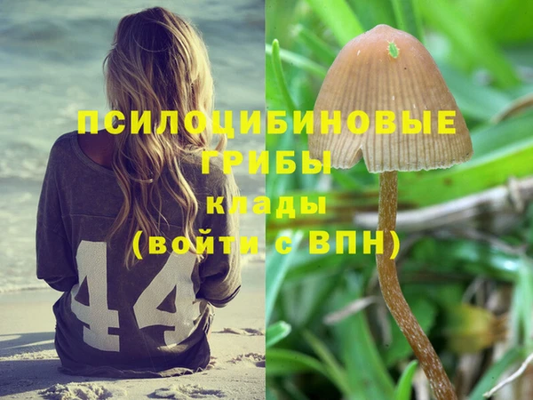ALPHA-PVP Кинешма