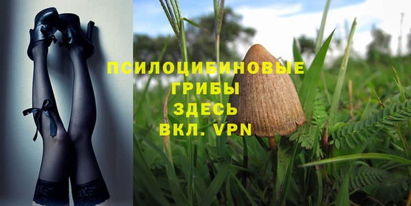 крисы Киреевск