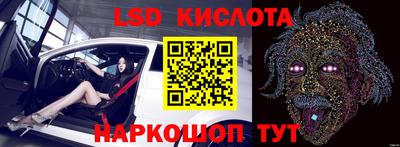 прущие грибы Бийск