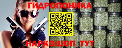 прущие грибы Бийск