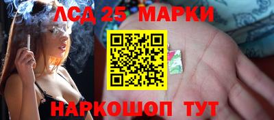 прущие грибы Бийск