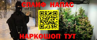 стафф Берёзовский