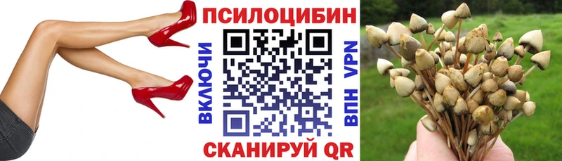Галлюциногенные грибы Cubensis  ссылка на мегу ССЫЛКА  Бийск 