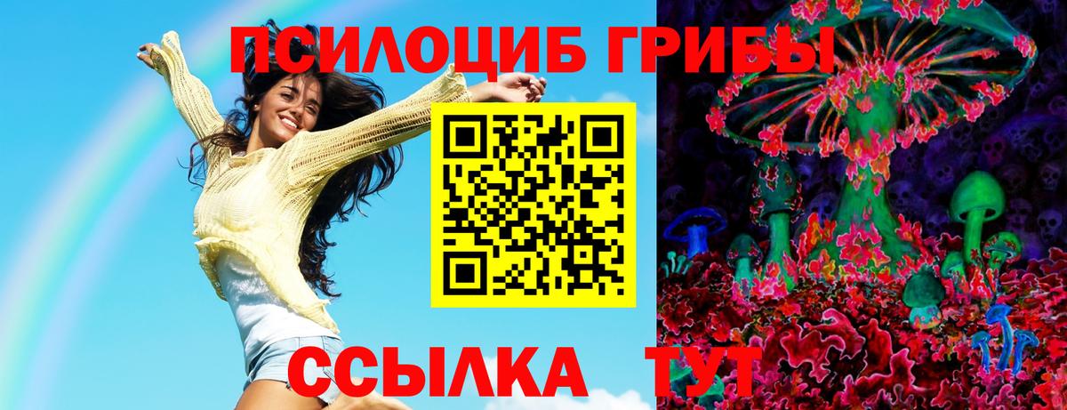 Бийск  Псилоцибиновые грибы ЛСД  Галлюциногенные грибы Cubensis  Вход с VPN 